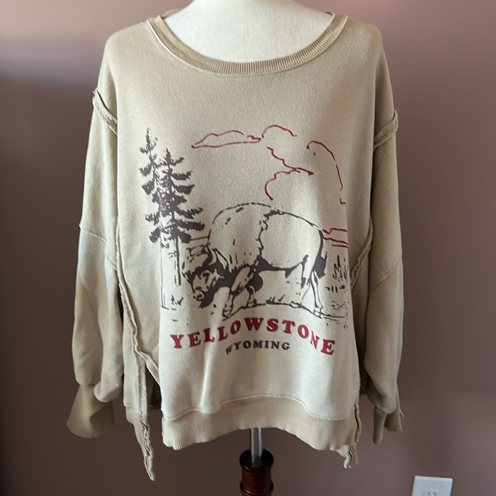 Free People Graphic Camden Pullover